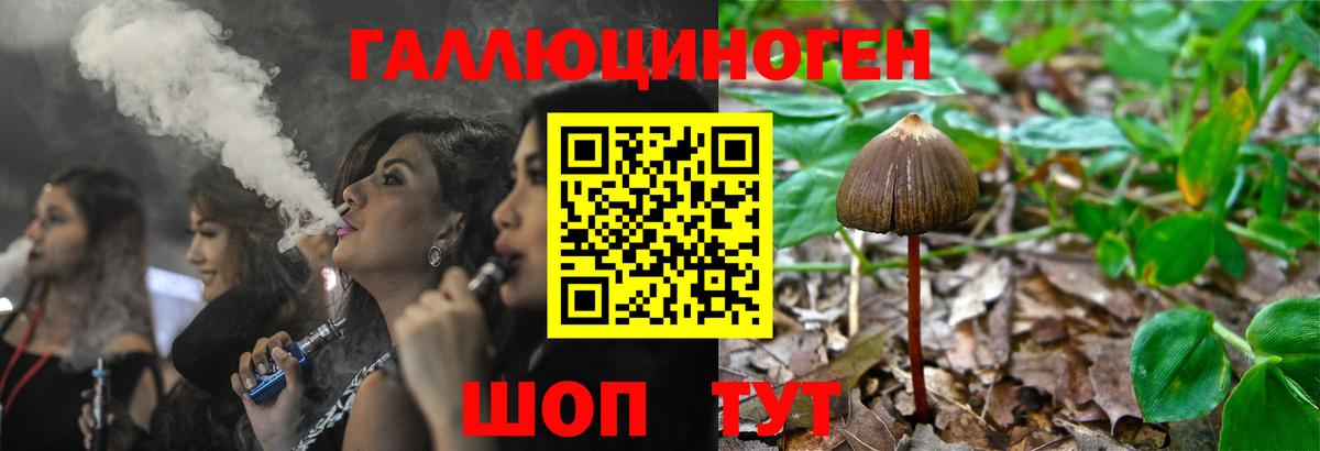 купить наркотики сайты  Псилоцибиновые грибы Psilocybe  Вход с VPN  Балабаново 